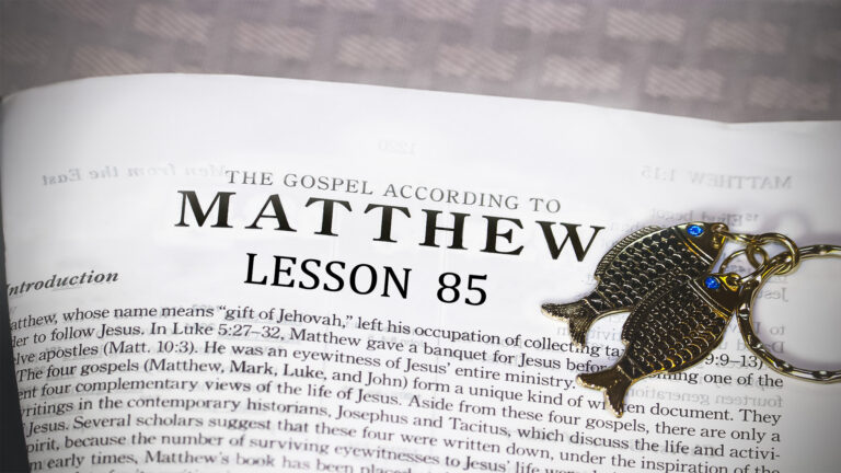 Lesson 85 Ch24 Ch25 - Torah Class
