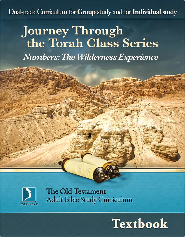 Numbers Adult Textbook (pdf)
